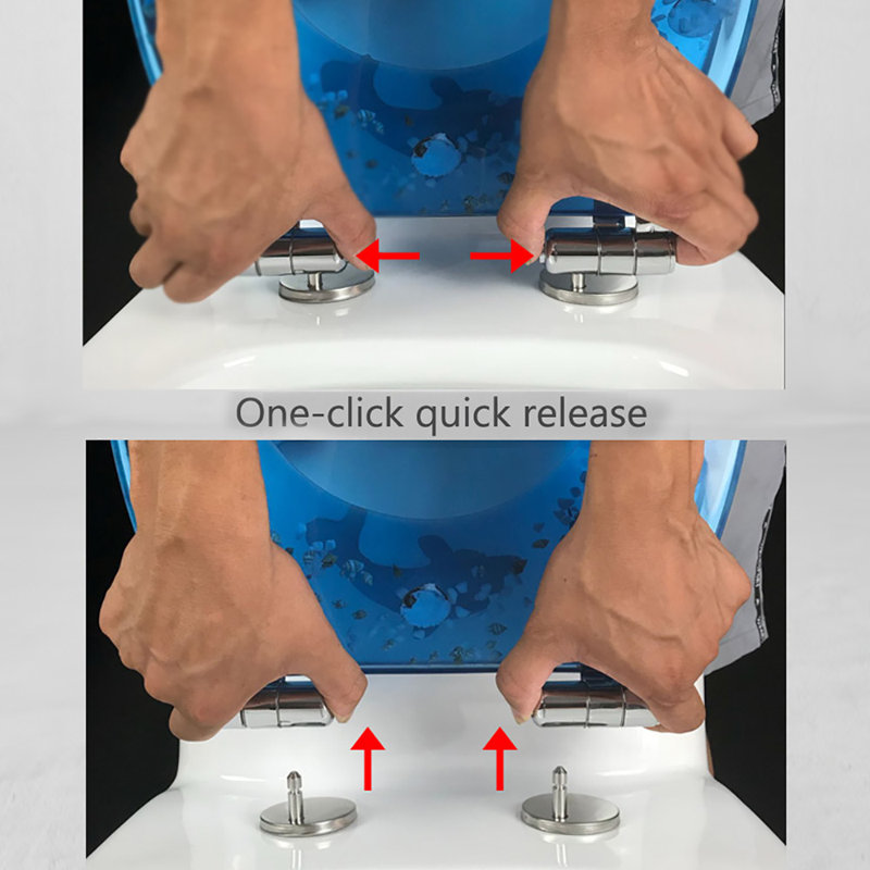 Rosecliff Heights Blue Ocean Toilet Seat Cover Wayfair